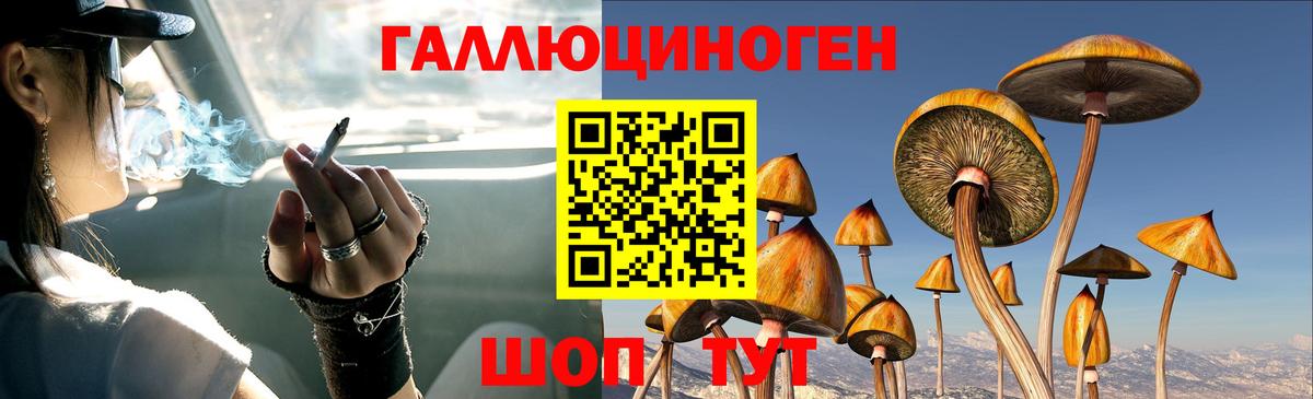 Галлюциногенные грибы Magic Shrooms  Вход с VPN  Рязань 